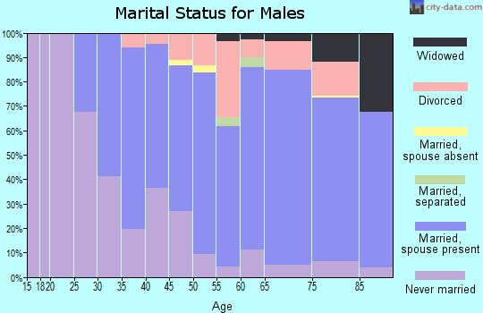 Zip code 15234 marital status for males