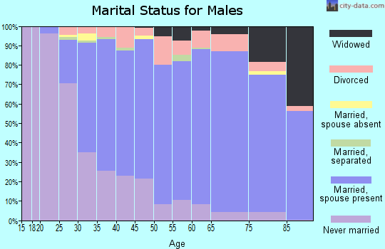 Zip code 15236 marital status for males