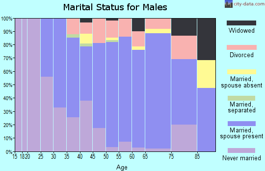 Zip code 15312 marital status for males