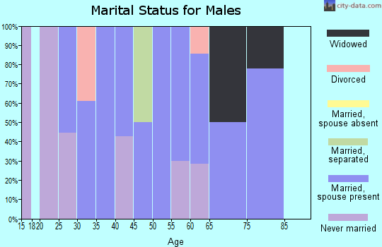 Zip code 15313 marital status for males