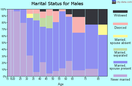Zip code 15314 marital status for males