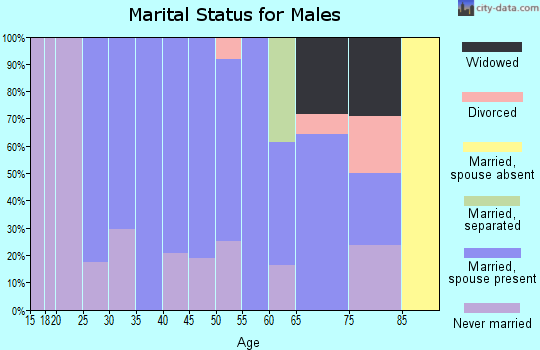 Zip code 15315 marital status for males