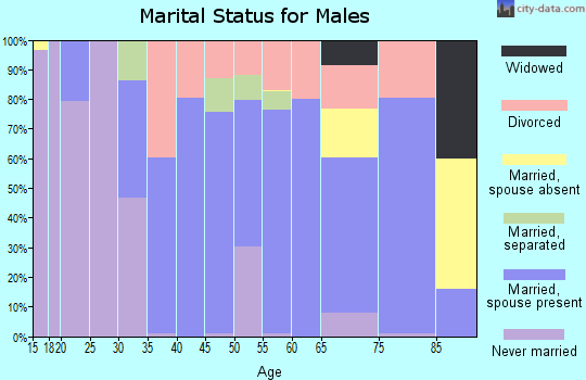 Zip code 15320 marital status for males