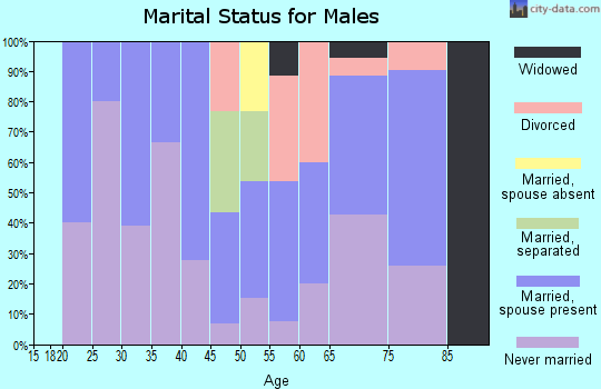Zip code 15324 marital status for males