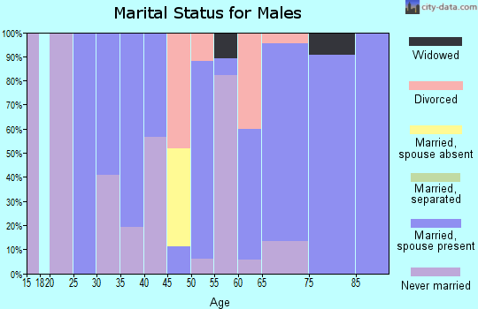 Zip code 15331 marital status for males