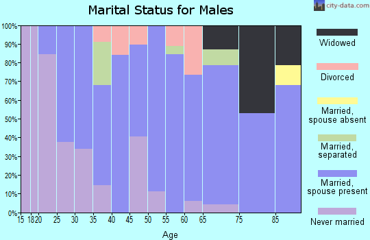 Zip code 15333 marital status for males