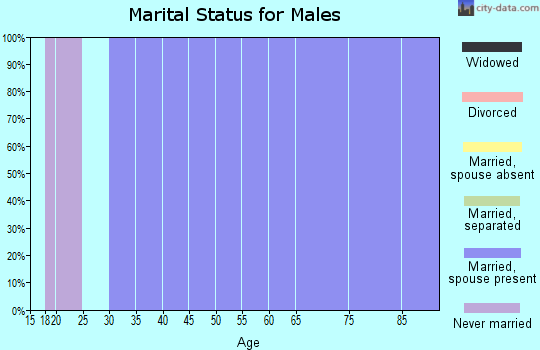 Zip code 15334 marital status for males
