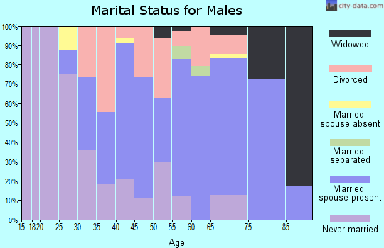 Zip code 15338 marital status for males