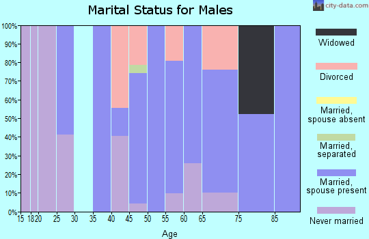 Zip code 15340 marital status for males