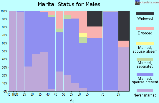 Zip code 15342 marital status for males