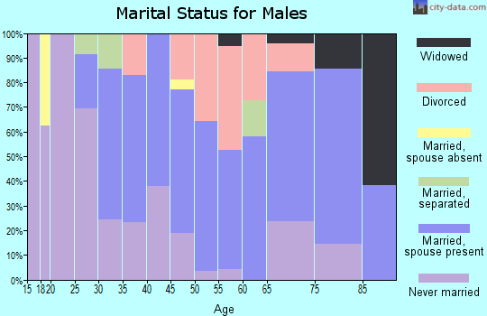 Zip code 15345 marital status for males