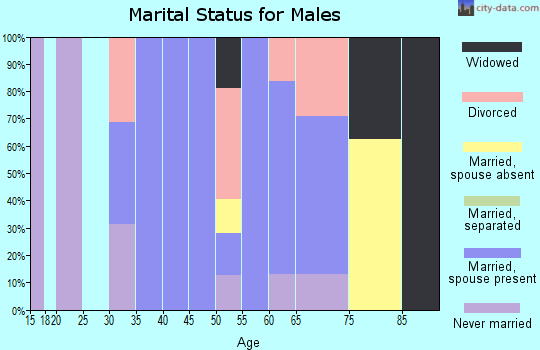 Zip code 15346 marital status for males
