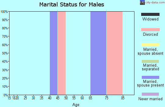 Zip code 15347 marital status for males