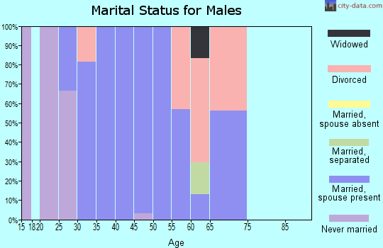 Zip code 15358 marital status for males