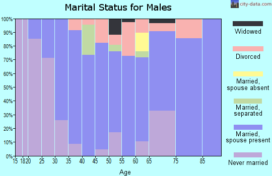 Zip code 15360 marital status for males