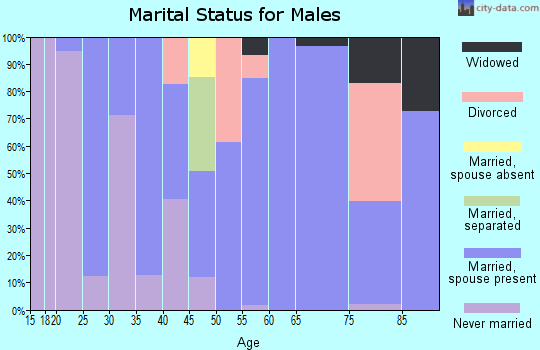 Zip code 15376 marital status for males