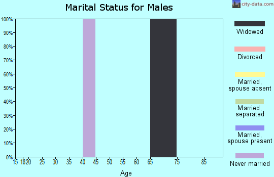 Zip code 15378 marital status for males
