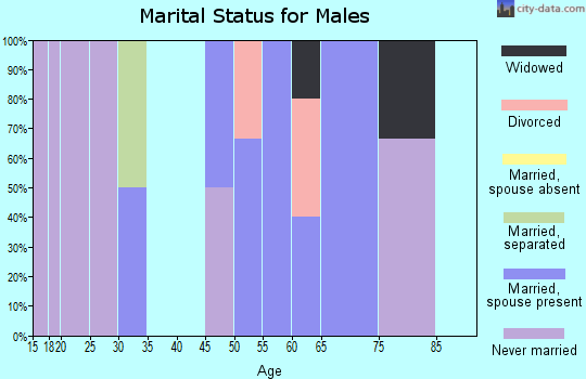 Zip code 15379 marital status for males