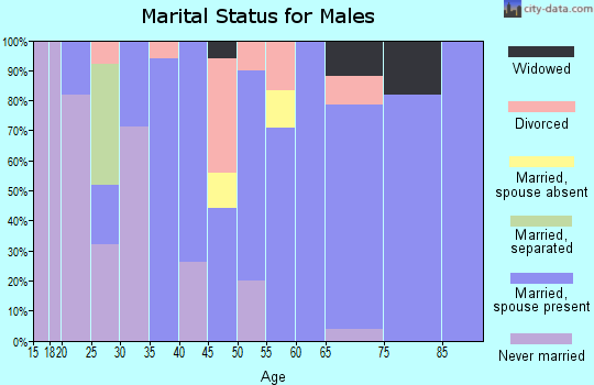 Zip code 15411 marital status for males