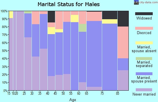 Zip code 15428 marital status for males