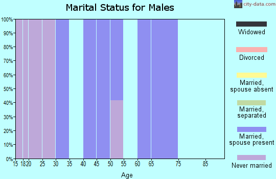 Zip code 15430 marital status for males