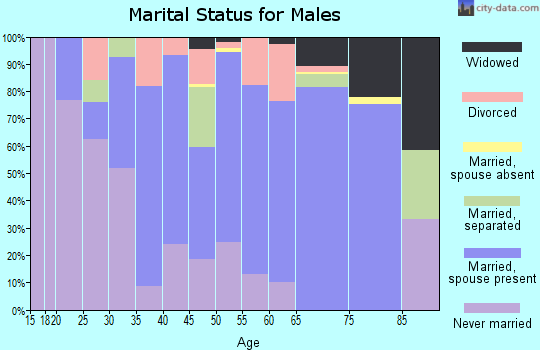 Zip code 15431 marital status for males