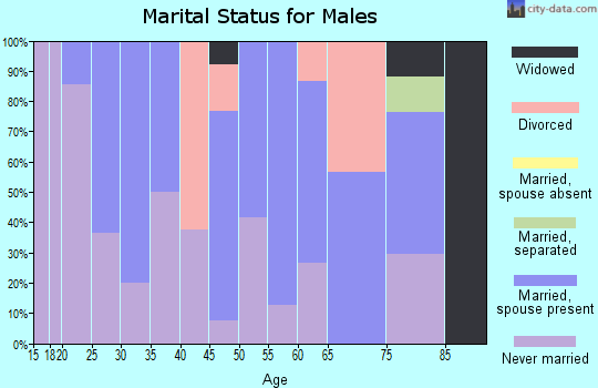 Zip code 15432 marital status for males