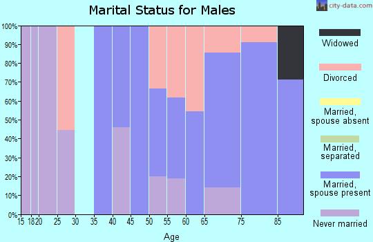 Zip code 15434 marital status for males