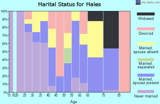 Zip code 15437 marital status for males