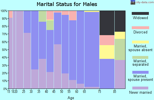 Zip code 15438 marital status for males