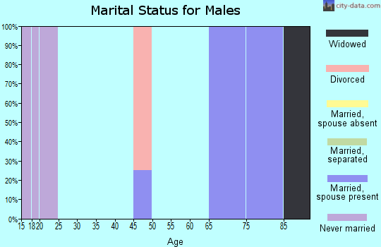 Zip code 15455 marital status for males