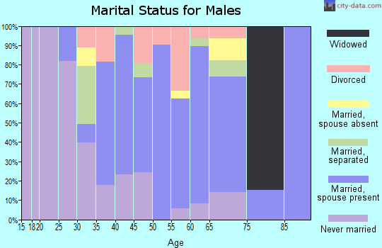 Zip code 15456 marital status for males