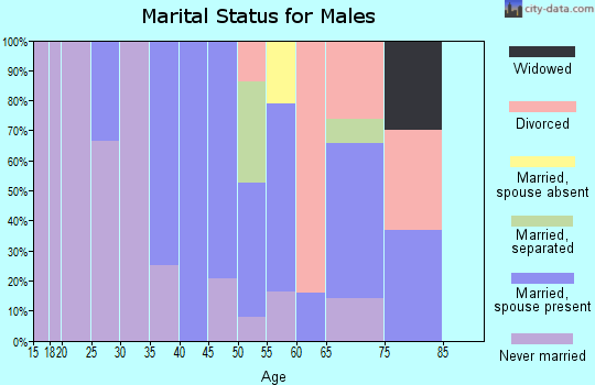 Zip code 15458 marital status for males