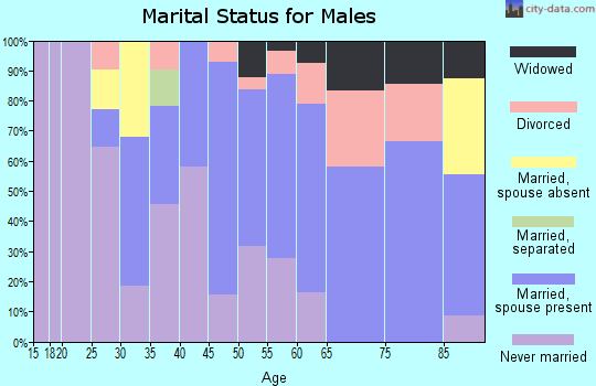 Zip code 15461 marital status for males