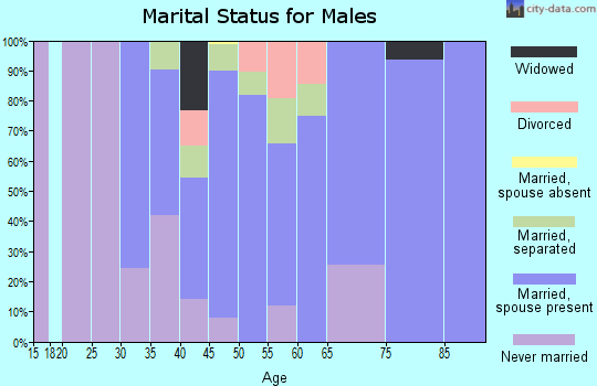 Zip code 15464 marital status for males