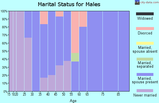 Zip code 15466 marital status for males