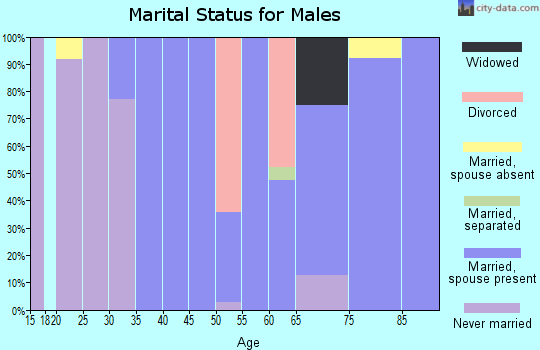 Zip code 15470 marital status for males