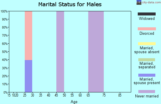Zip code 15472 marital status for males