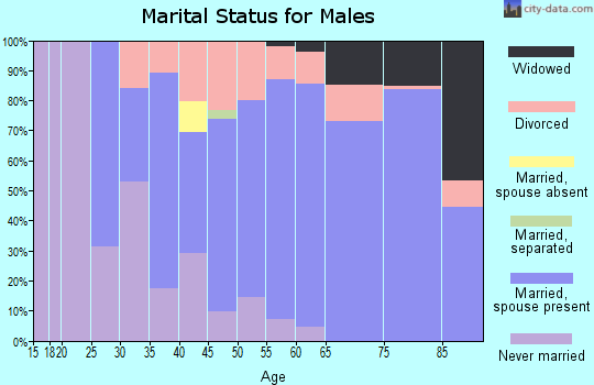 Zip code 15473 marital status for males