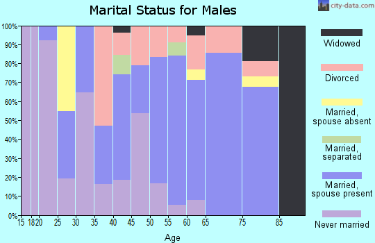 Zip code 15474 marital status for males