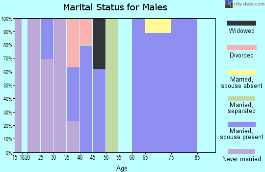 Zip code 15475 marital status for males