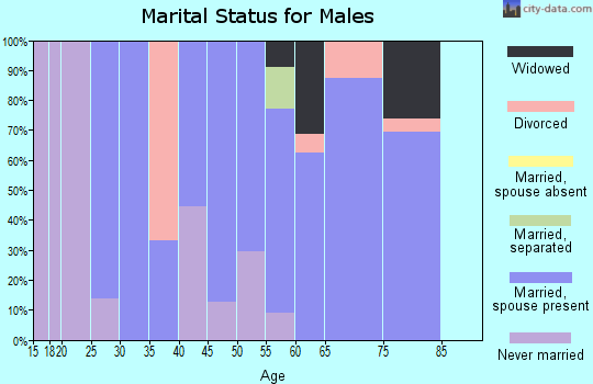 Zip code 15477 marital status for males