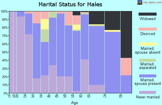 Zip code 15478 marital status for males