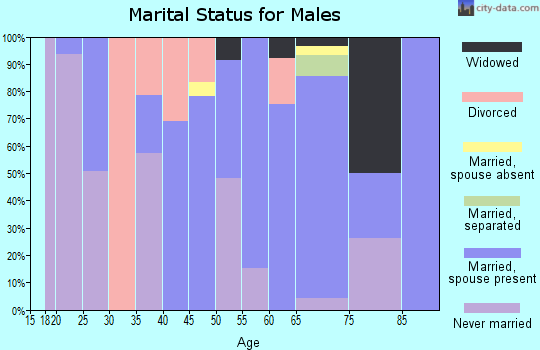 Zip code 15480 marital status for males