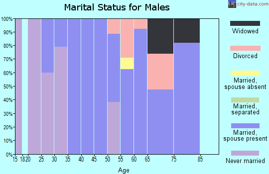 Zip code 15483 marital status for males