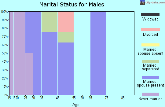 Zip code 15485 marital status for males