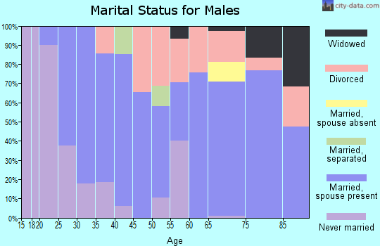 Zip code 15486 marital status for males