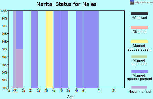Zip code 15489 marital status for males