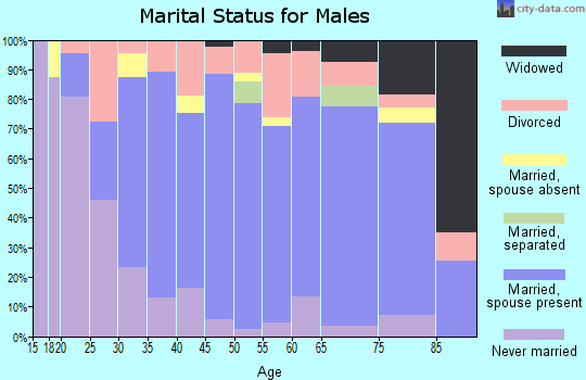 Zip code 15530 marital status for males