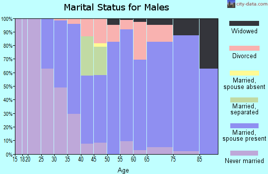 Zip code 15531 marital status for males